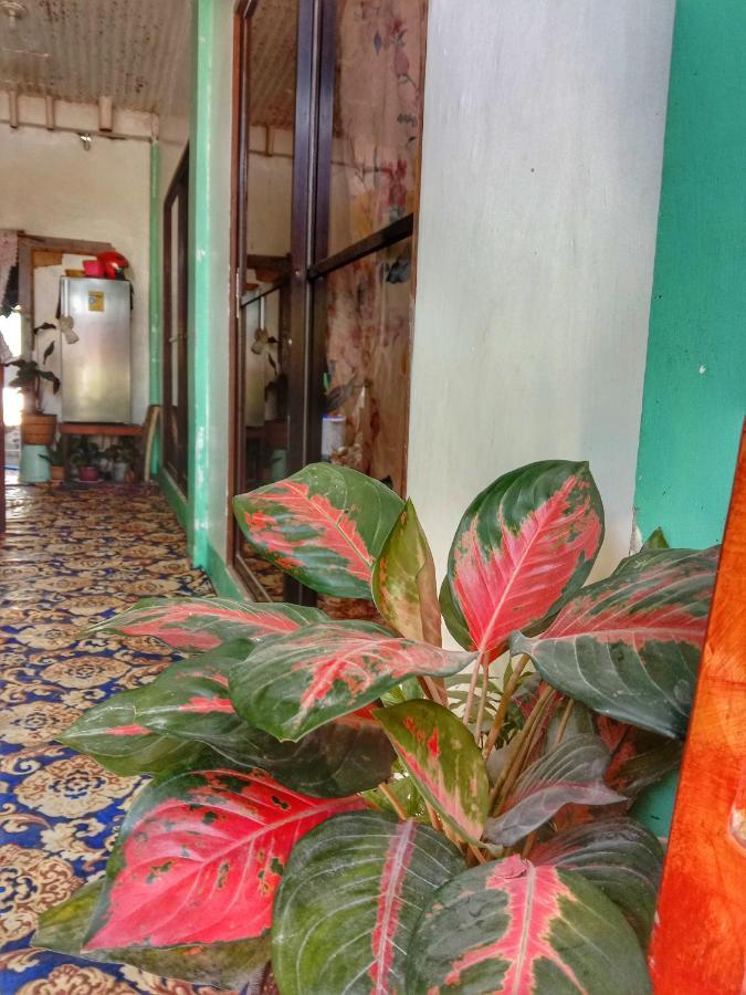 Abba Homestay Хенерал Луна Екстериор снимка